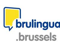 Brulingua : plate-forme interactive d'apprentissage des langues