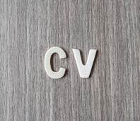 Indiquer son niveau de langue sur son CV : conseils pratiques